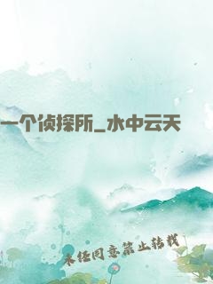 一个侦探所