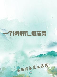 一个侦探所
