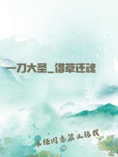 一刀大圣