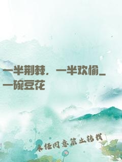 一半荆棘，一半欢愉