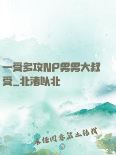 一受多攻NP男男大叔受