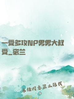 一受多攻NP男男大叔受