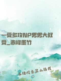 一受多攻NP男男大叔受