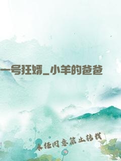 一号狂婿