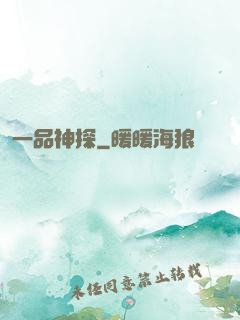 一品神探