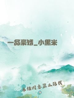 一品豪婿