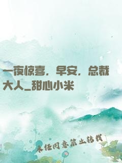 一夜惊喜，早安，总裁大人