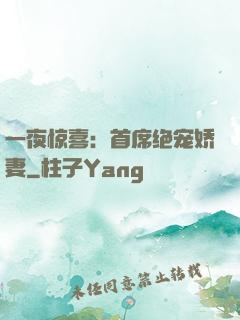 一夜惊喜：首席绝宠娇妻