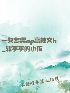 一女多男np高辣文h