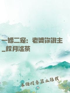 一婚二宠：老婆你做主