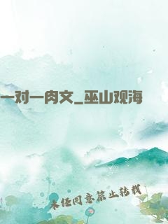 一对一肉文