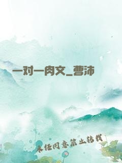 一对一肉文