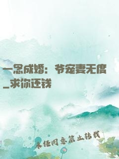 一念成婚：爷宠妻无度