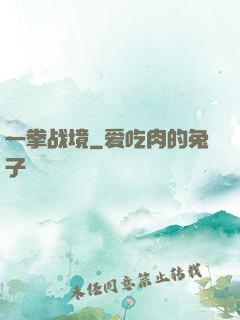 一拳战境