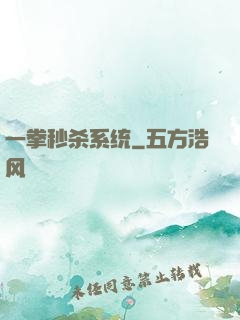 一拳秒杀系统