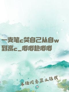 一支笔c哭自己从自w到高c
