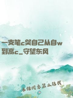 一支笔c哭自己从自w到高c