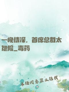 一晚情深，首席总裁太危险