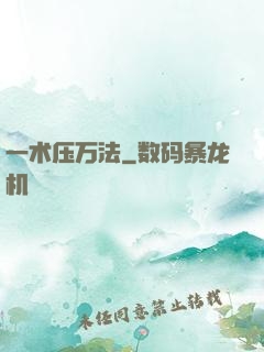 一术压万法