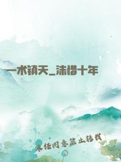 一术镇天