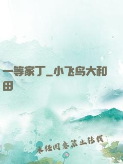 一等家丁