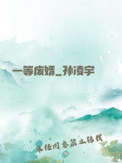 一等废婿
