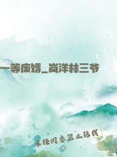 一等废婿