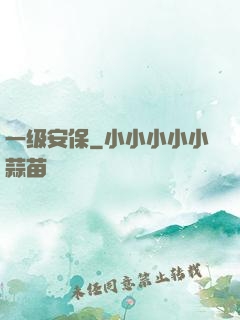 一级安保
