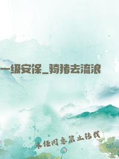 一级安保