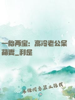 一胎两宝：高冷老公呆萌妻
