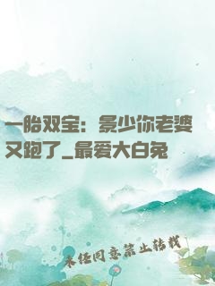 一胎双宝：景少你老婆又跑了