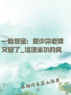 一胎双宝：景少你老婆又跑了