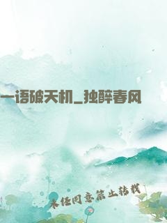 一语破天机