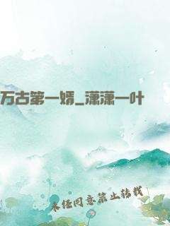 万古第一婿