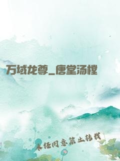 万域龙尊