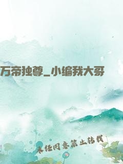 万帝独尊