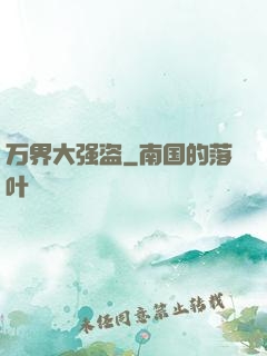 万界大强盗