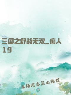 三国之野战无双