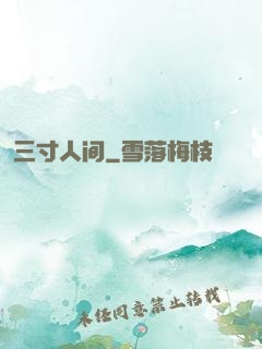三寸人间