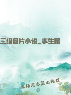 三级图片小说