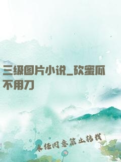 三级图片小说