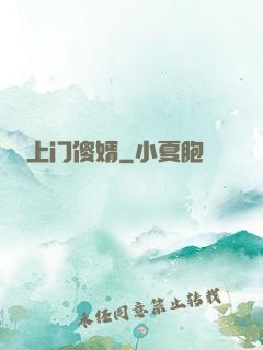 上门傻婿
