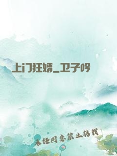 上门狂婿