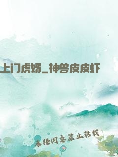 上门虎婿