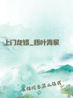 上门龙婿