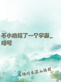 不小心捡了一个宇宙