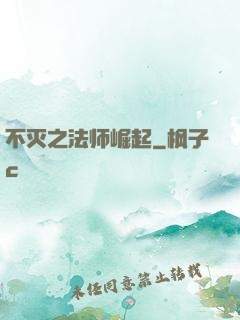 不灭之法师崛起
