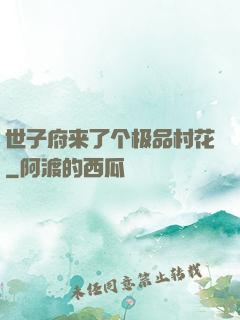 世子府来了个极品村花