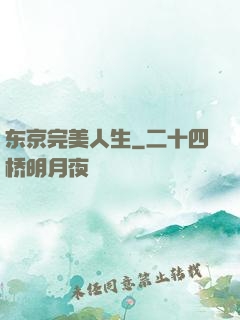 东京完美人生