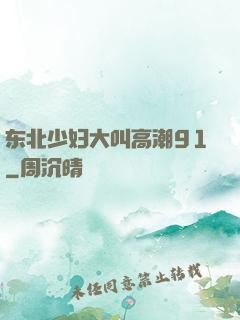东北少妇大叫高潮91